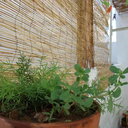 Mantra1 Ferienhaus Sozopoli