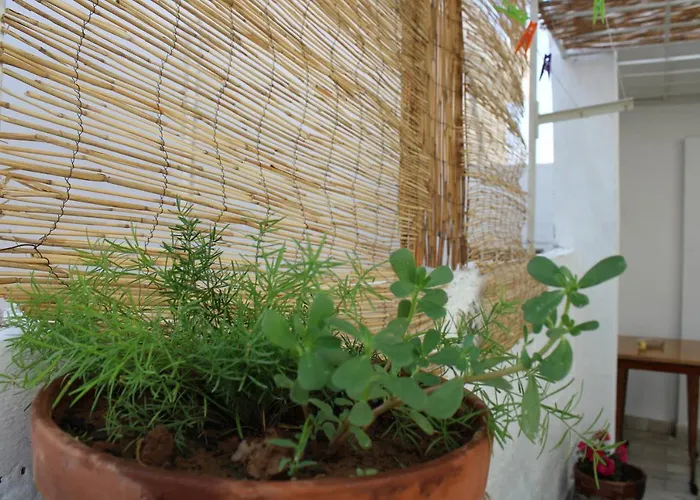 Mantra1 Сasa de vacaciones Sozopoli